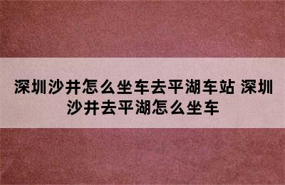 深圳沙井怎么坐车去平湖车站 深圳沙井去平湖怎么坐车